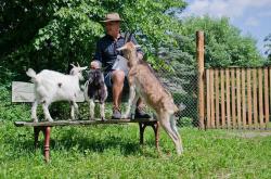 Gospodarstwo Agroturystyczne Marka