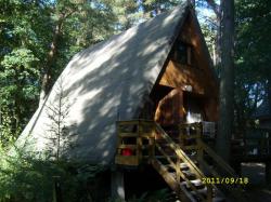 Domki Letniskowe w Kamionkach