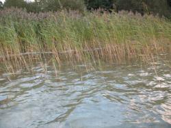 Pole Campingowe Luzak