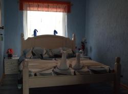 Hostel Duyna Dolna