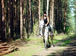 Gospodarstwo Gocinne Racibr
