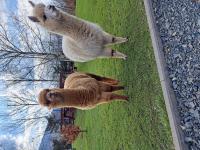 Gospodarstwo Zacisze