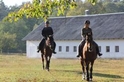 Gospodarstwo Agroturystyczne Polanka