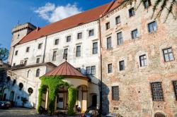 Centrum usug hotelowo-turystycznych ZAMEK Sp. z o.o.