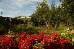 Kwatery turystyczne Magosia