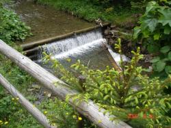 Domek Nad Strumykiem