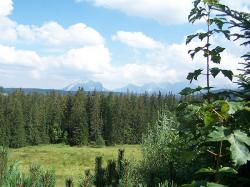 Gociniec Odsapka