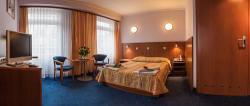 Hotel Alexander Krakw