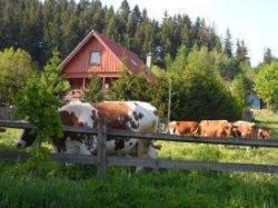 Agroturystyka U Baltazara