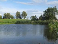 Agroturystyka Nad Stawem