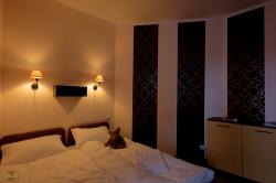 Hostel Helvetia