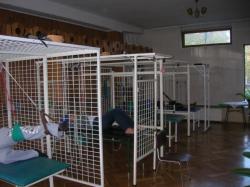 Orodek Wczasowo - Sanatoryjny Trojan