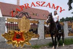 Wilczy Grd