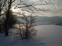 Halinwka