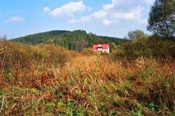 Gospodarstwo Agroturystyczne Organistwka