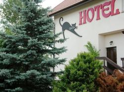 Hotel Kot