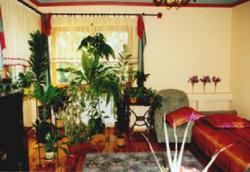 Hotelik Domowy Eleonora Zawilak