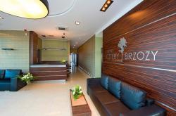 Hotel Cztery Brzozy ***