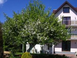 Villa Verde