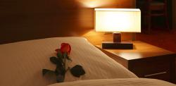 Hotel Timberland