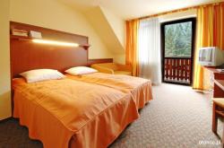 Hotel Wierchomla SKI & SPA Resort