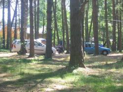Pole namiotowe Lene