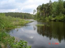 Stadnina Koni Raj