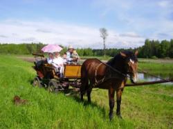 Gospodarstwo Agroturystyczne Oleka