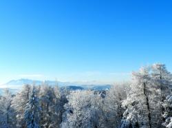 Jaworzyna Krynicka