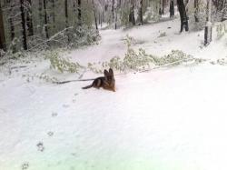 Orodek Konferencyjno Wypoczynkowy HORYZONT
