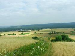 Agroturystyka u Marysi