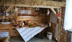 Gocina