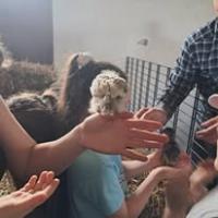 Agroturystyka Końska Zagroda