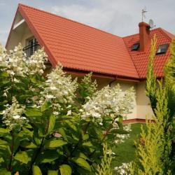 Prezydencja Biaogra