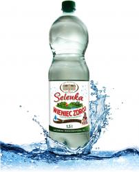 Uzdrowisko Wieniec-Zdrj