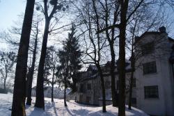 Daglezja
