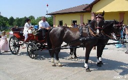 Hotel Laguna