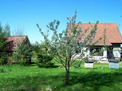 Agroturystyka Nad Stawem