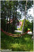 Zajcwka