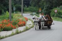 Agroturystyka pod Ptasi Gr