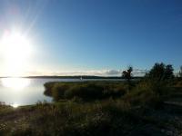 Pod winogronami - domek na lato