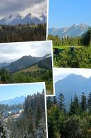 Pokoje Gościnne Przy Pasiece