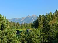 Pokoje Gościnne Przy Pasiece