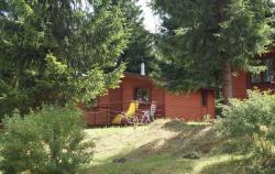 Przysta Nauta