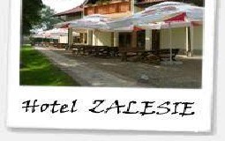 Hotel Zalesie