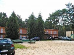 Koral