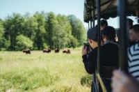 Paac Popielw w Kurozwkach