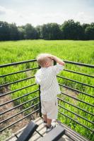 Paac Popielw w Kurozwkach