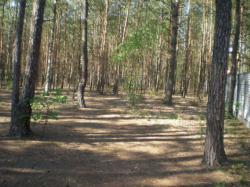 Gospodarstwo agroturystyczne Kozwka