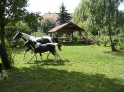 Rancho Orodek Rekreacji Konnej i Hipoterapii